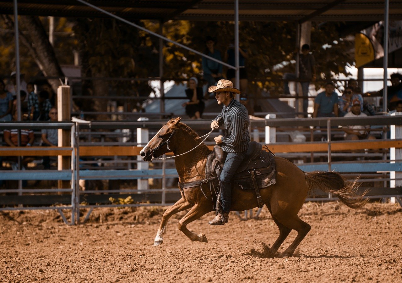 Show Barn Flix