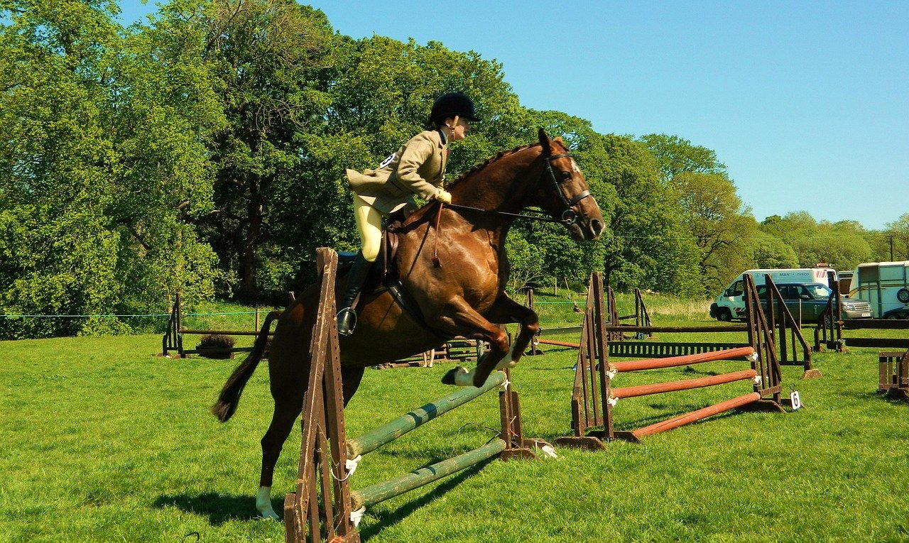 Show Barn Flix