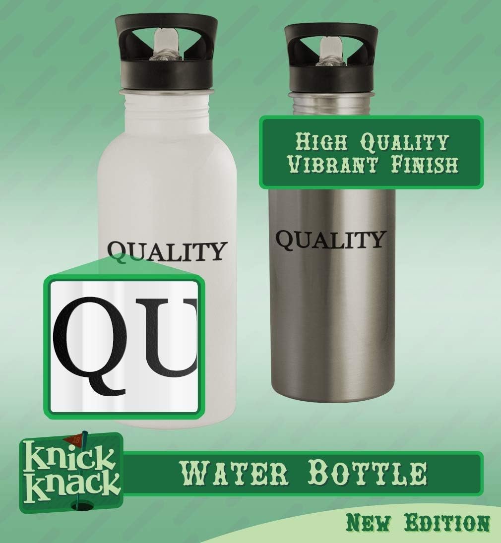 Knick Knack Gifts #flix - 20oz Stainless Steel Water Bottle, Silver